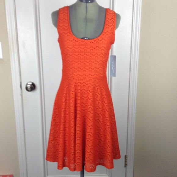London Times Dresses & Skirts - London Times | Orange Evaline Eyelet Dress